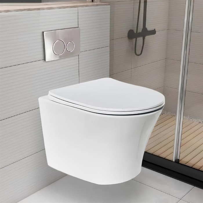 Унитаз ADIGE Aria подвесной безободковый Cerutti SPA CT7837 (490x360x355) CT7837 - фото 6428